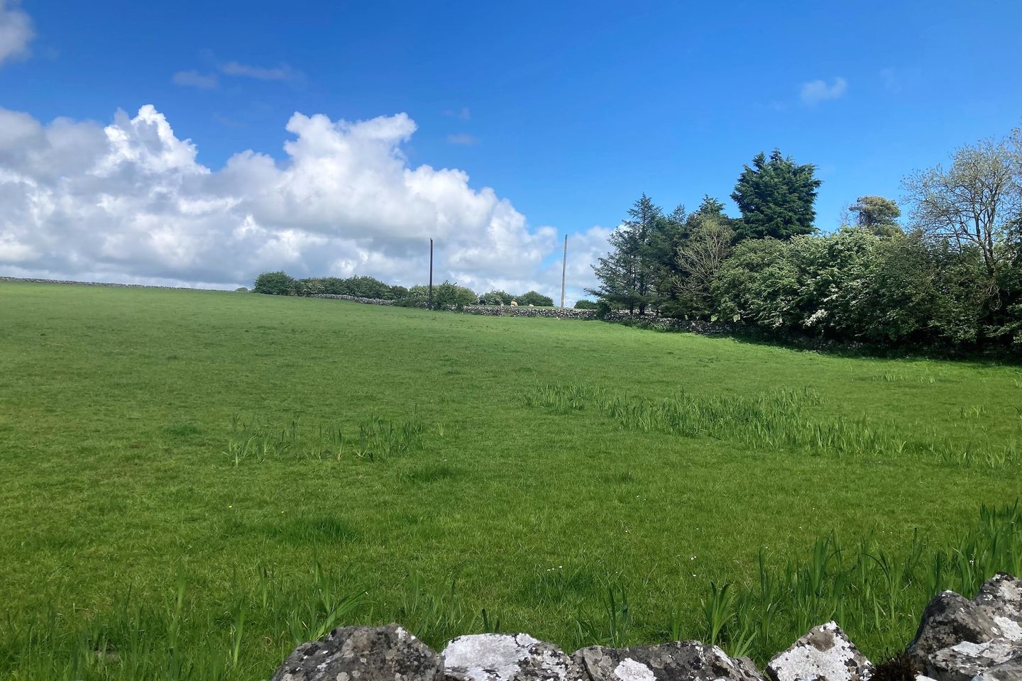 Doon, Kilrickle, Loughrea, Co. Galway is for sale on Daft.ie
