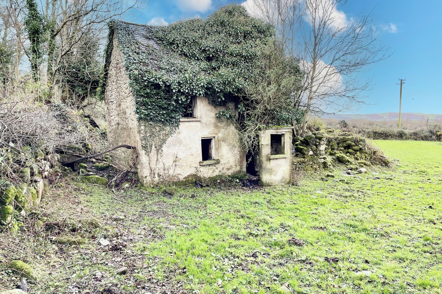 Walshstown, Ballymurphy, Borris, Co. Carlow, Borris, Co. Carlow