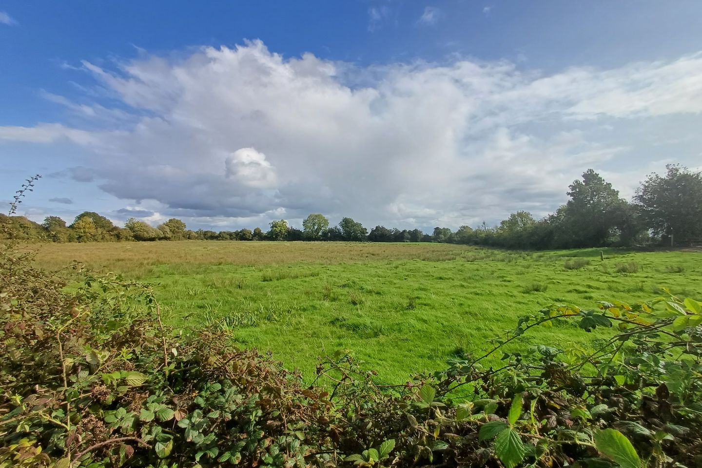 Commercial property for sale in Clontaffe, Killea, Templemore, Co