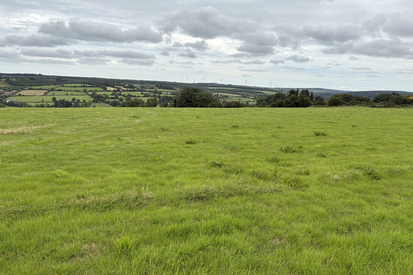 Coolcullen, Coon, Co. Kilkenny