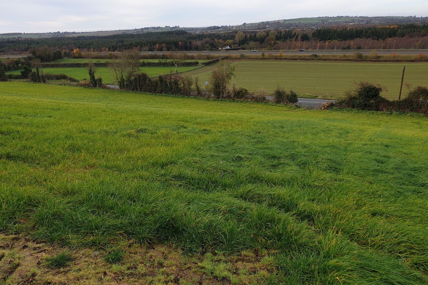 Commercial property for sale in Ballymount, Dunlavin, Narraghmore, Co