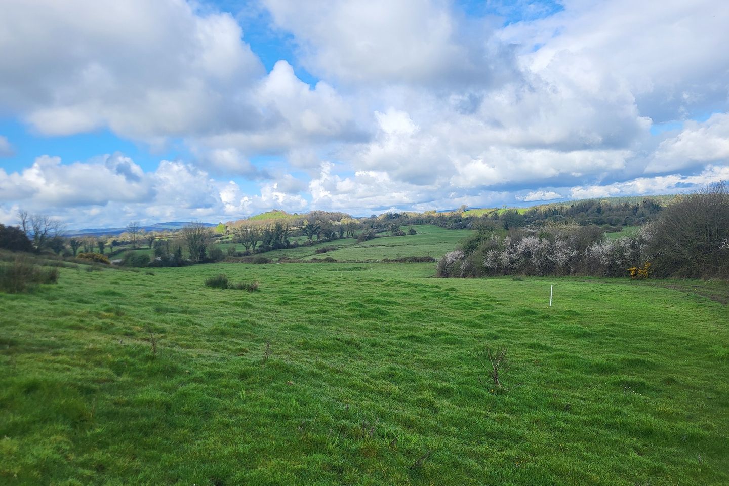 Commercial property for sale in Caherphuca, Crusheen, Co. Clare