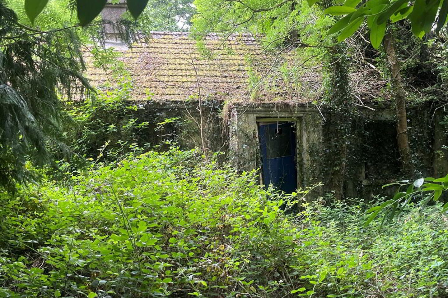 Derrinlough, Moylough, Co. Galway