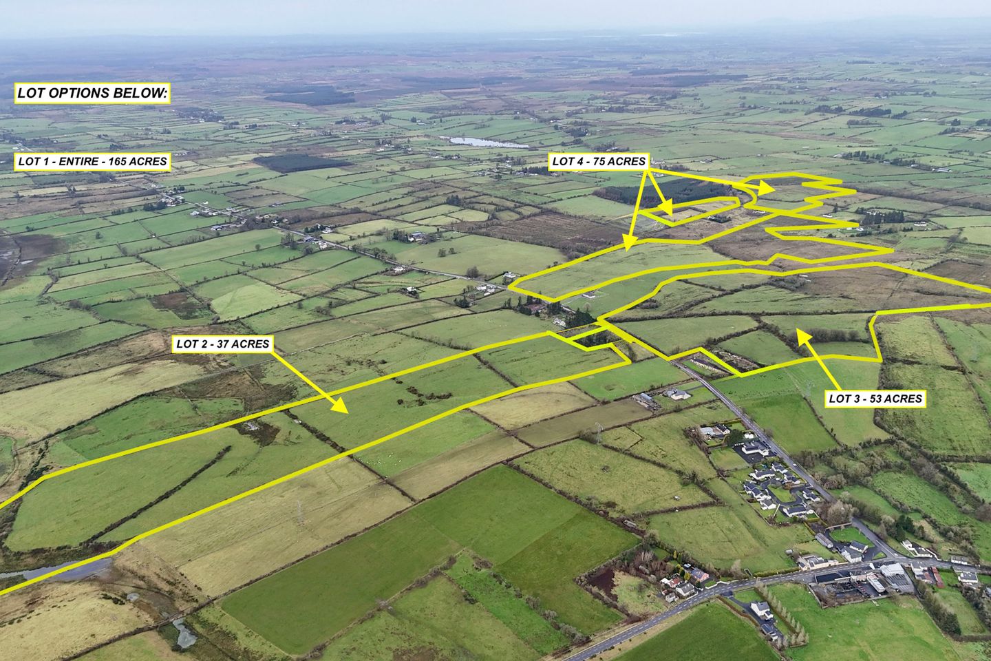 165 Acres (approx.) at Castleplunkett, Castlerea, Co. Roscommon