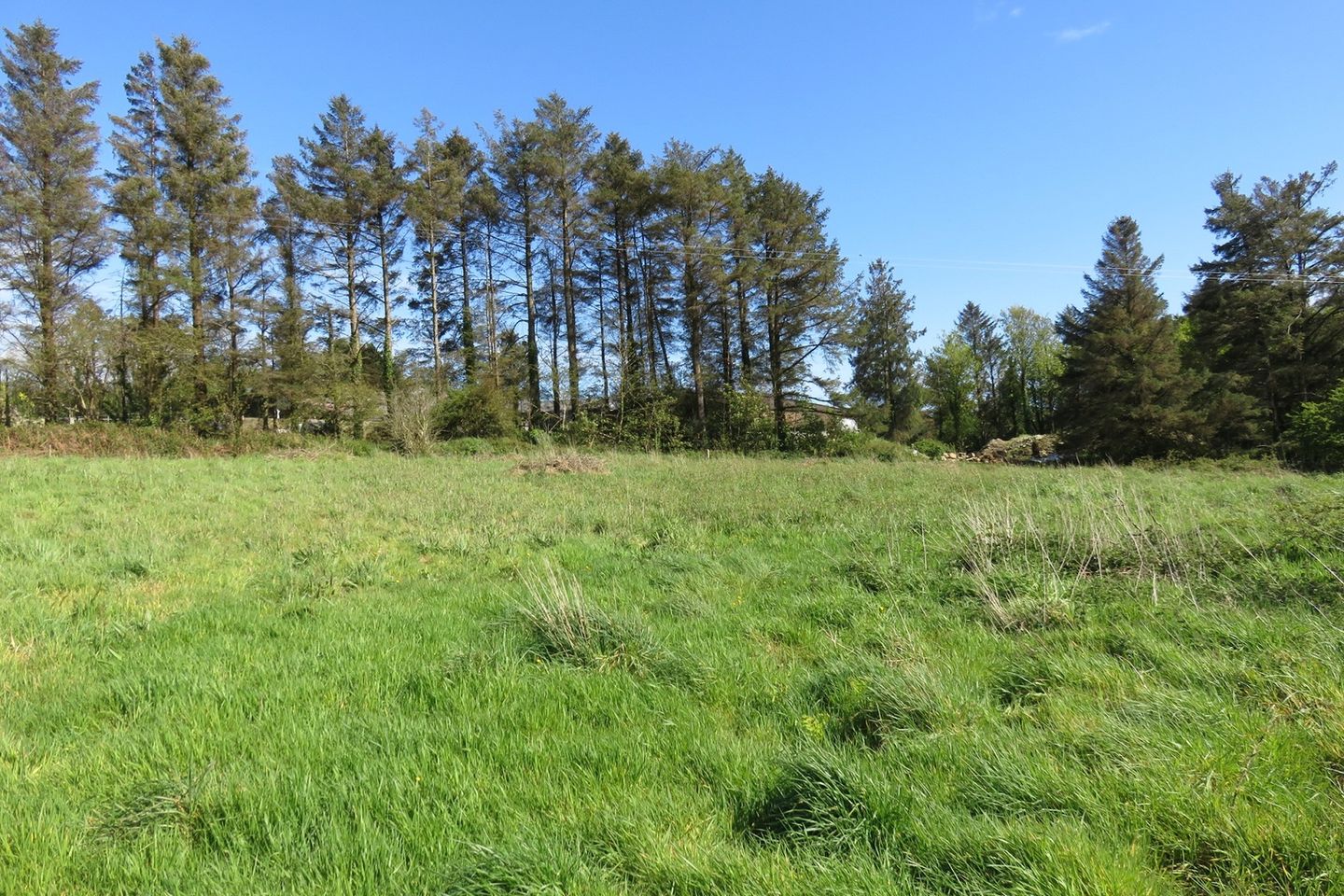 Tullyneasky West, Clonakilty, Co. Cork