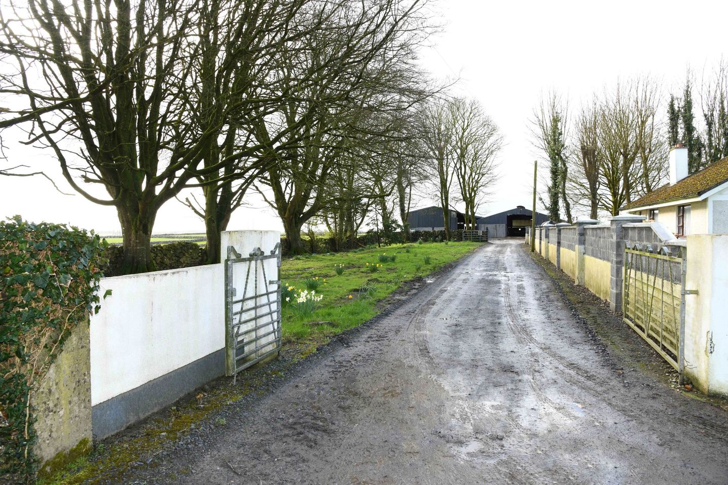 Commercial property for sale in Cummer, Corofin, Co. Galway