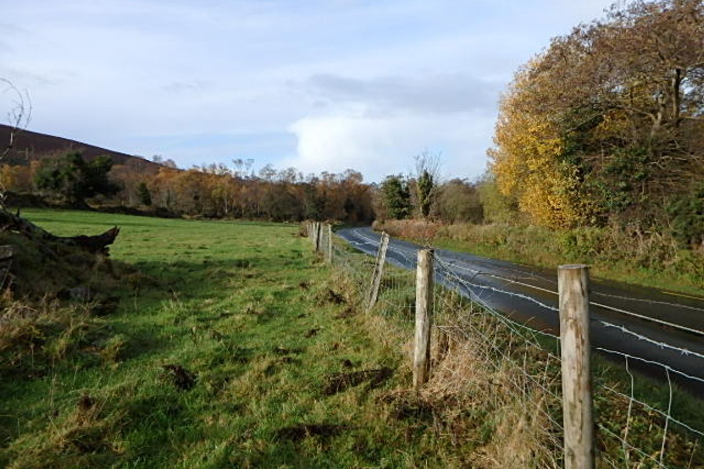 Site, Coonogue, Borris, Carlow