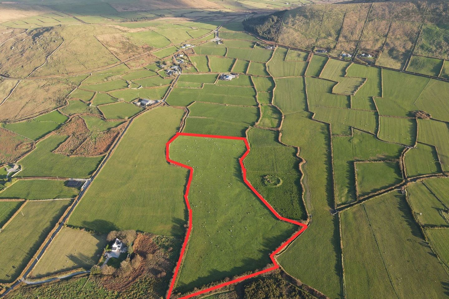 Commercial property for sale in Ballynana, Ballydavid, Co. Kerry