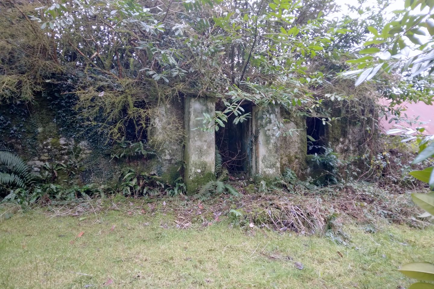 Derelict Farmhouse, Outbuildings & c.40acres of Forrest, Glenacunna, Ballyporeen, Mitchelstown, Co. Cork