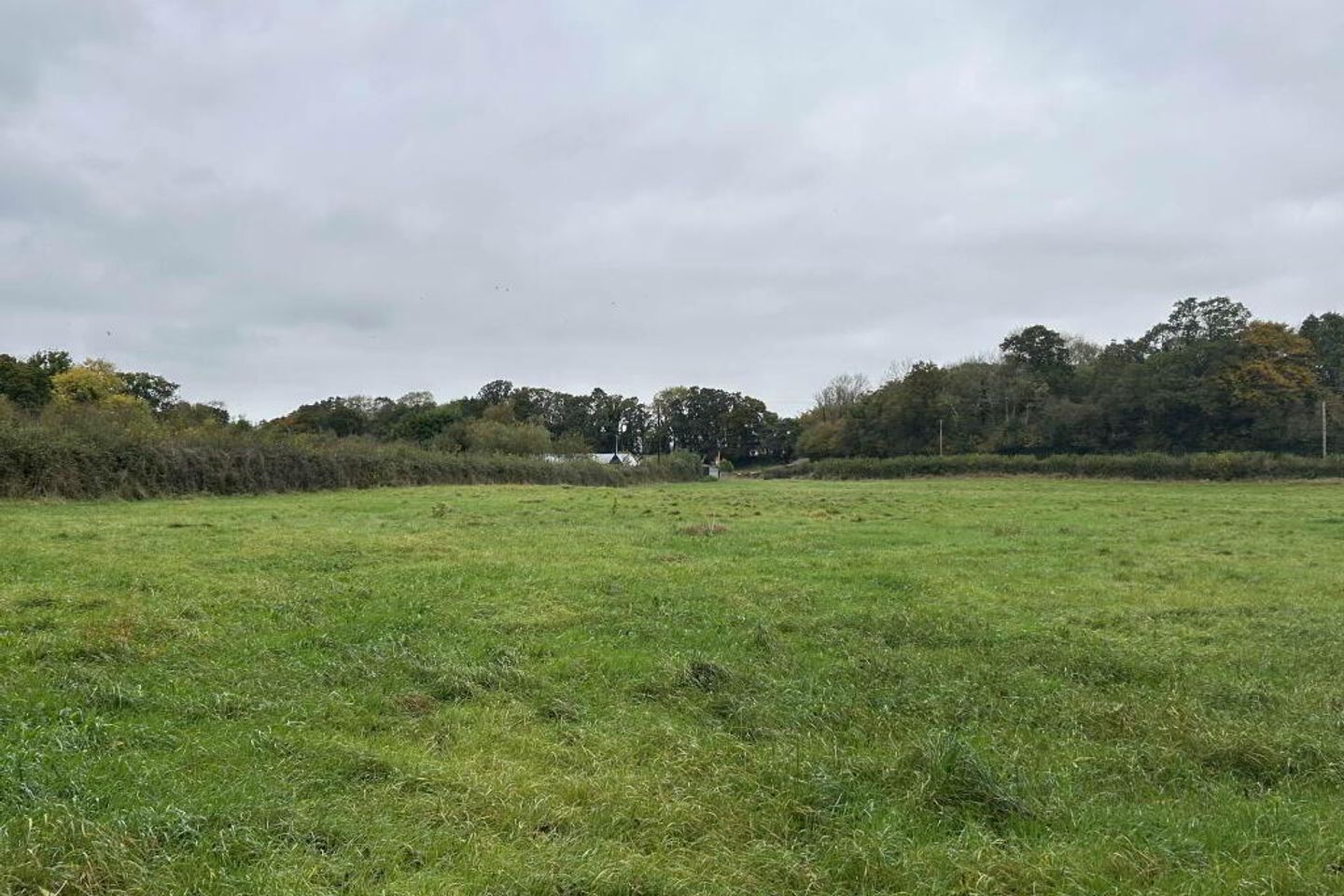 C. 1.74 Ha, Milltown, Shinrone, Co. Offaly