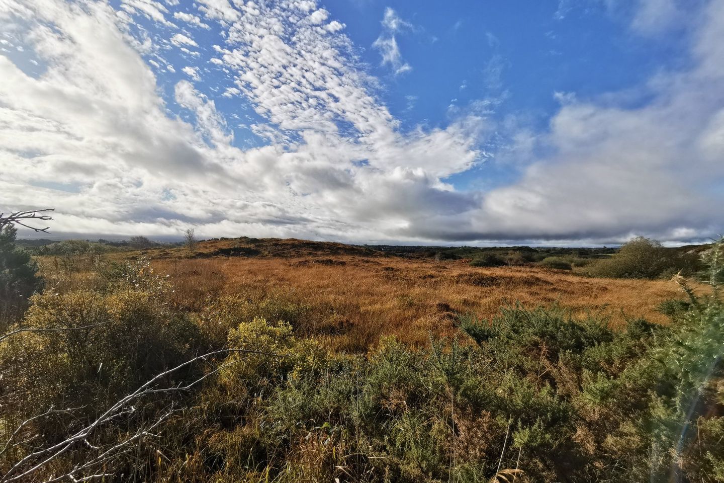 Commercial property for sale in Ummoon, Foxford, Co. Mayo