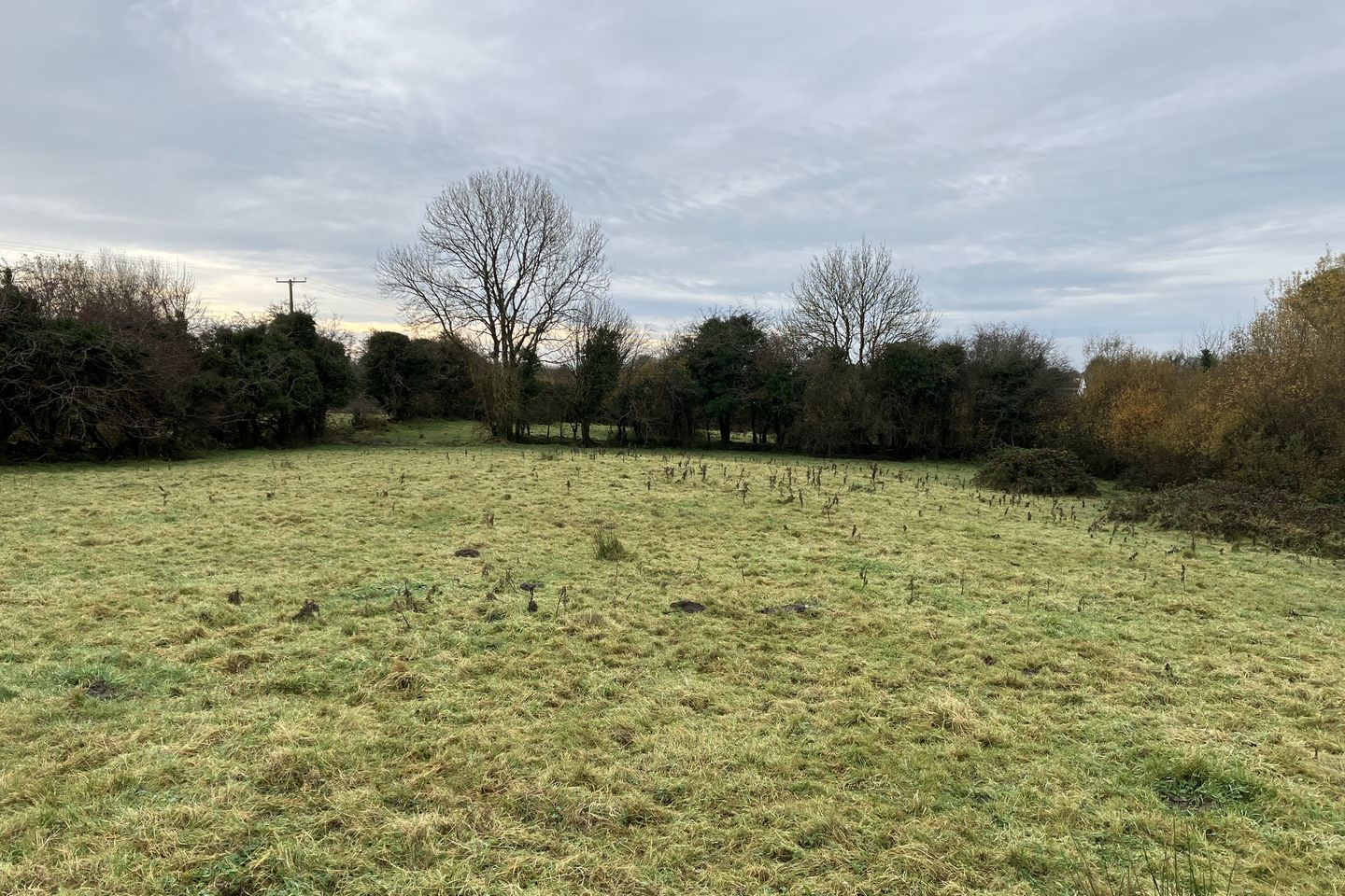 Commercial property for sale in Quinaltagh, Garrafrauns, Dunmore, Co