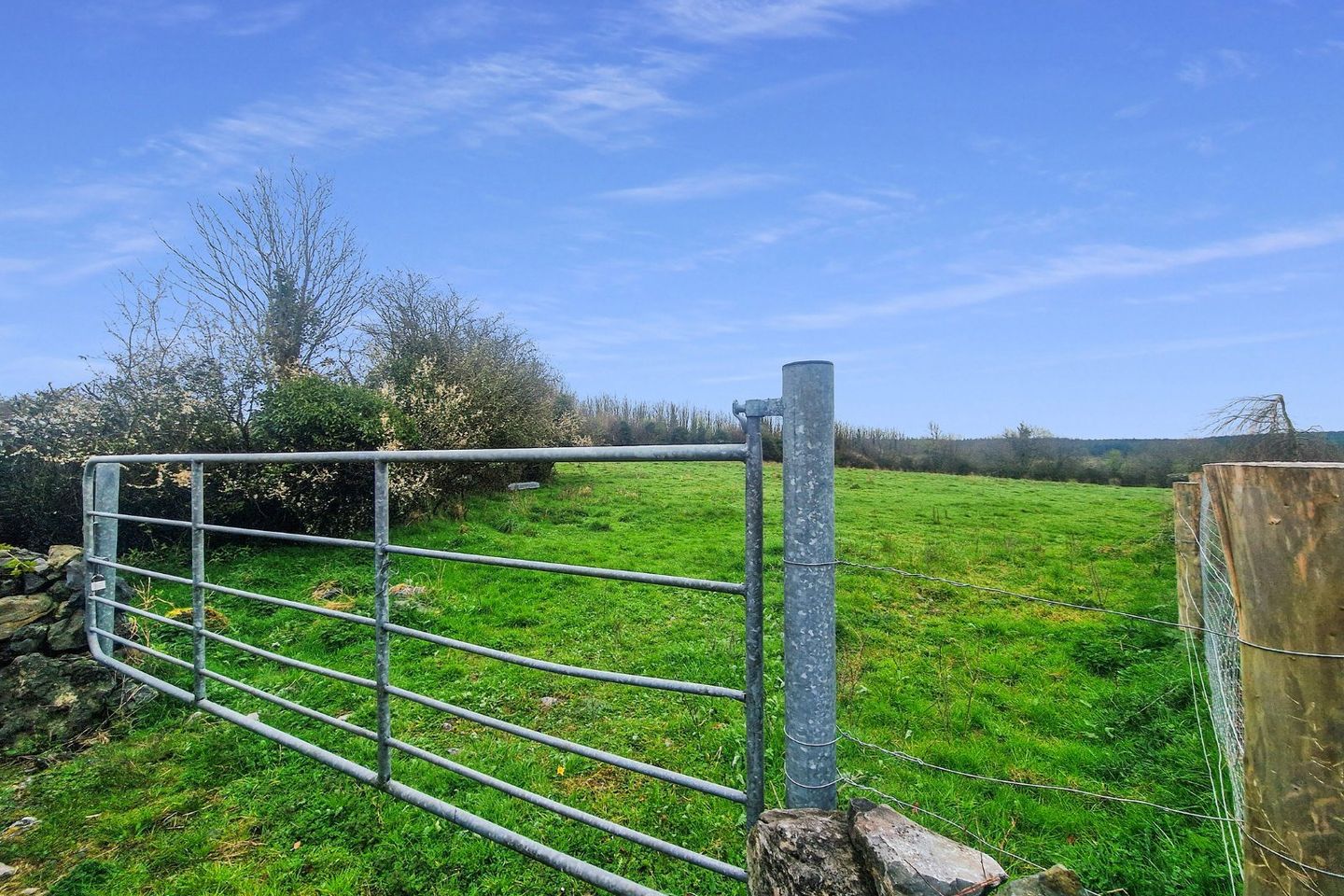 Commercial property for sale in Moyree Commons, Ruan, Co. Clare, V95AF1C