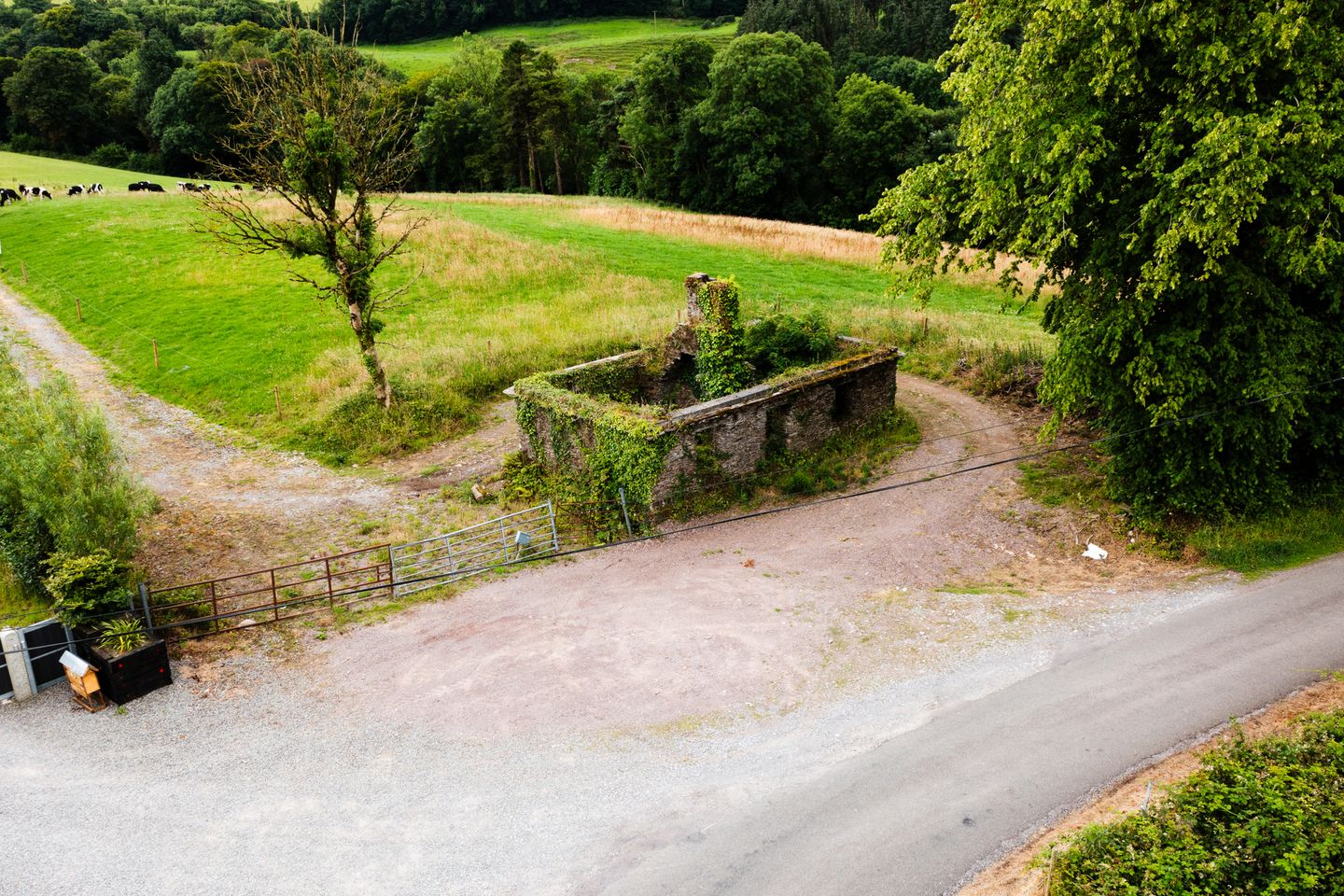 Derelict Cottage On 1/2 Acre, Lissarda, Co. Cork, P14KD82 is for sale