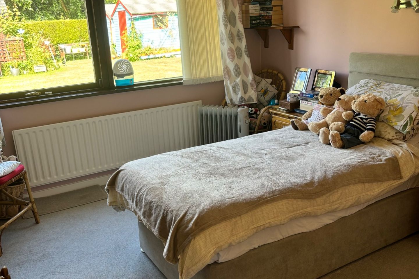 Done Rovin Ballymoat Glenealy co wicklow, Glenealy, Co. Wicklow