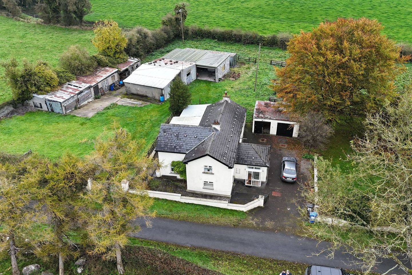 Ballinacor, Delvin, Co. Westmeath, N91X328