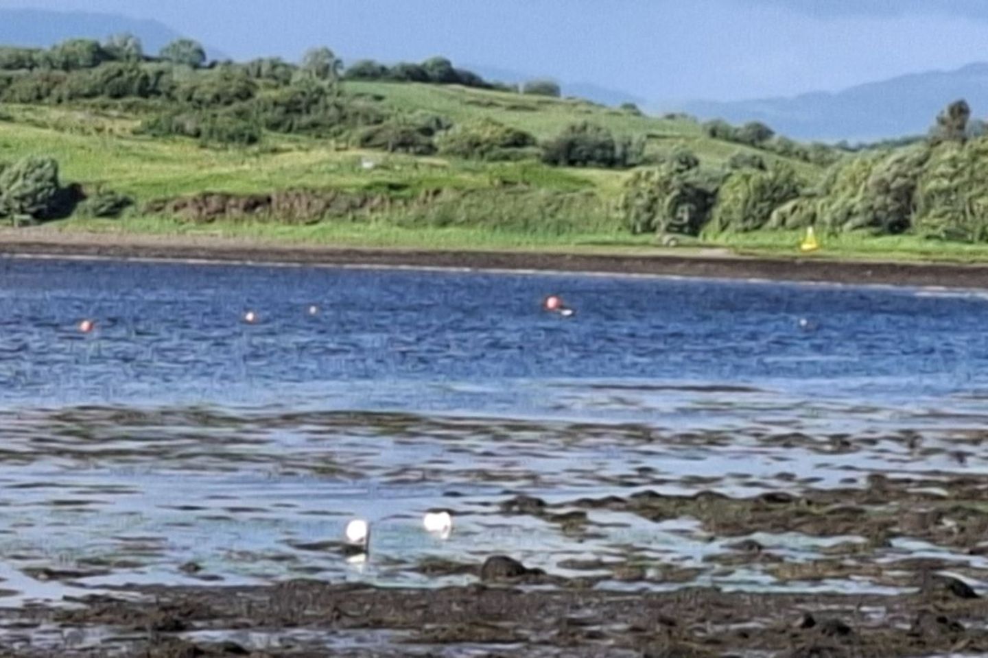 Mullinasole, Laghey, Donegal, Laghy, Co. Donegal