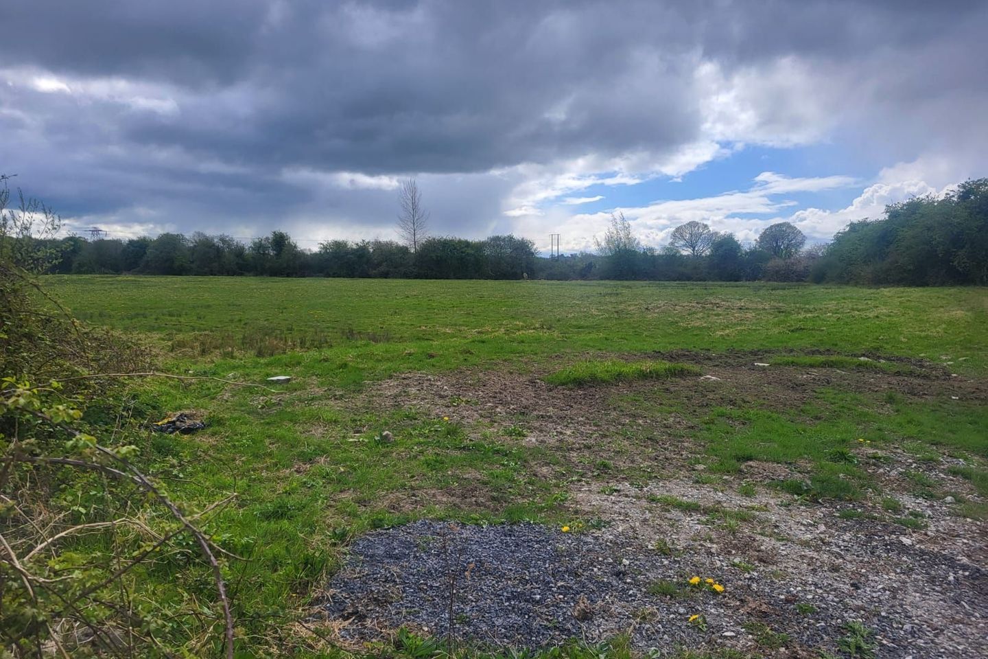 Lemonfield, Crecora, Patrickswell, Co. Limerick, V94W1WX