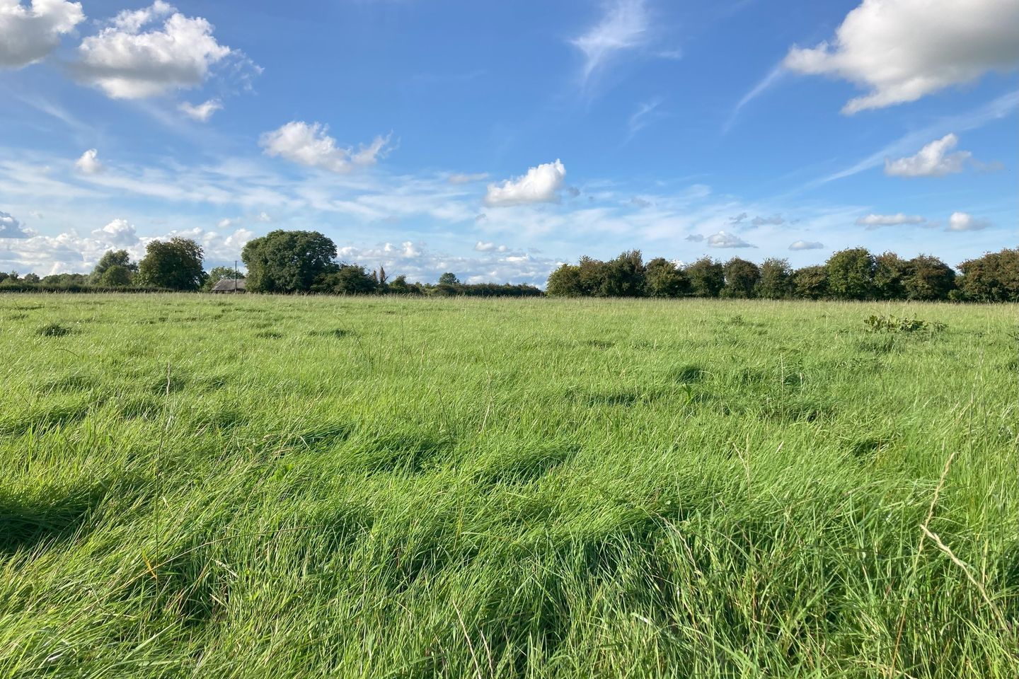 Commercial property for sale in Curraheen, Horse & Jockey, Thurles, Co