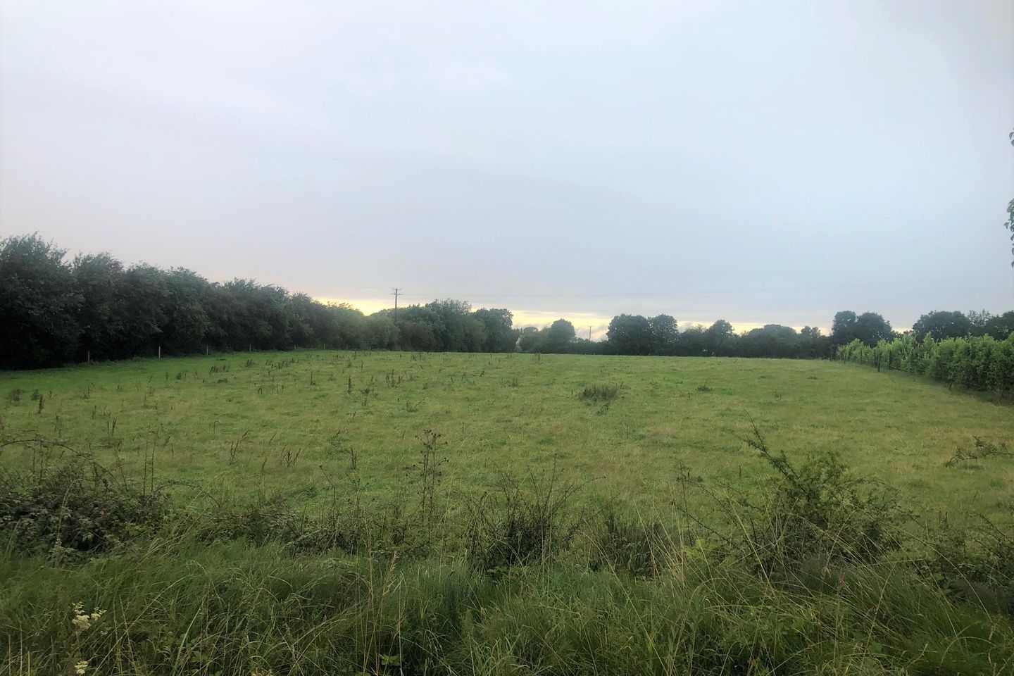 Baltigeer, Kinnegad, Co. Westmeath is for sale on Daft.ie