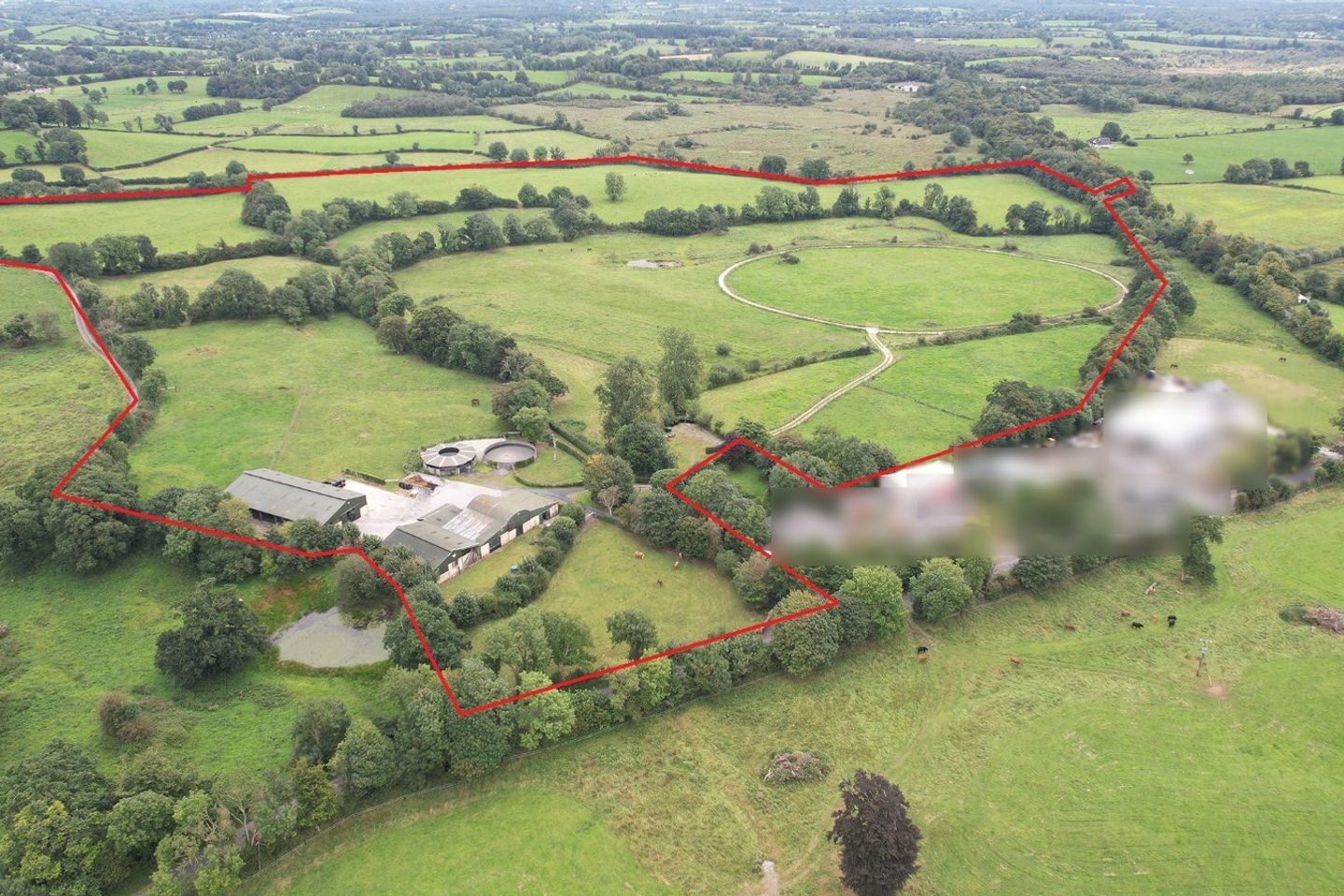 Ballycrighaun Stud, Moyreisk, Quin, Co. Clare