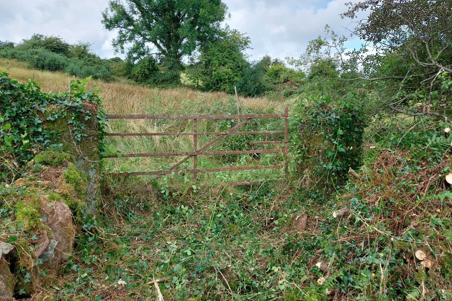 Gortnapeasty, Clondrohid, Macroom, Co. Cork