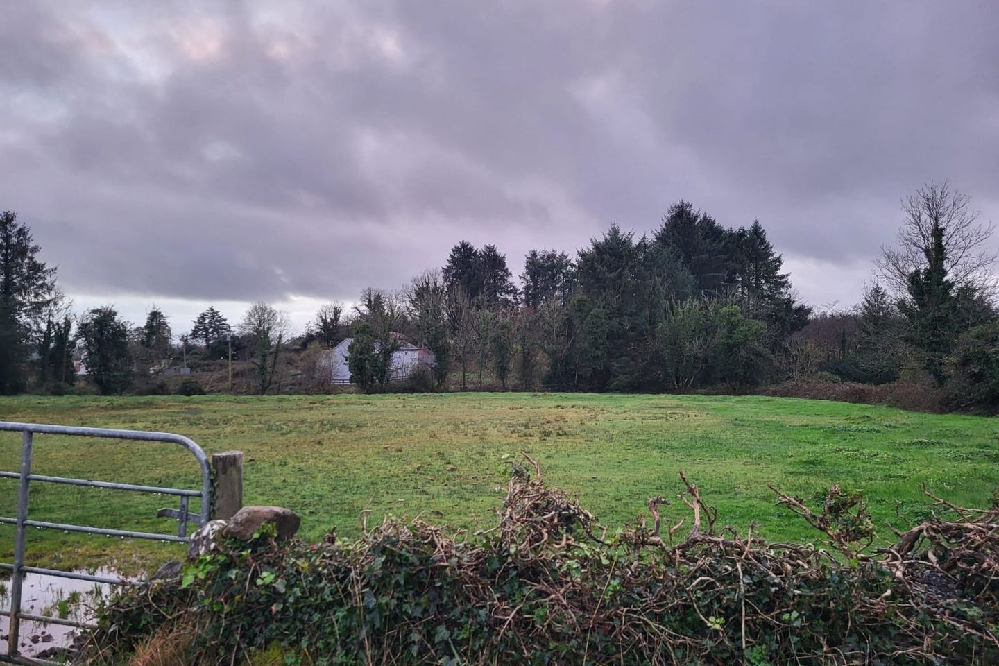 Glendree Lower, Feakle, Glendree, Co. Clare