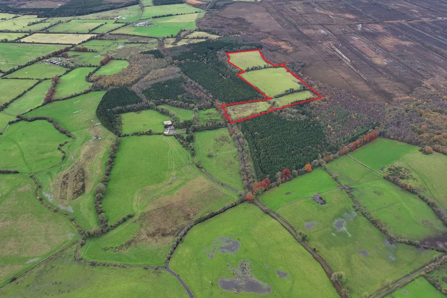 Clondalee More, Hill Of Down, Ballivor, Co. Meath, A83VW65