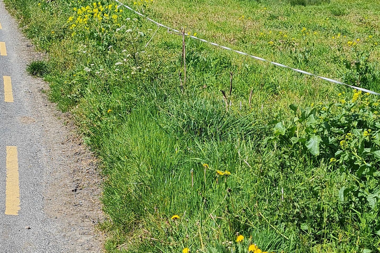 Site at, Burnchurch, Co. Kilkenny
