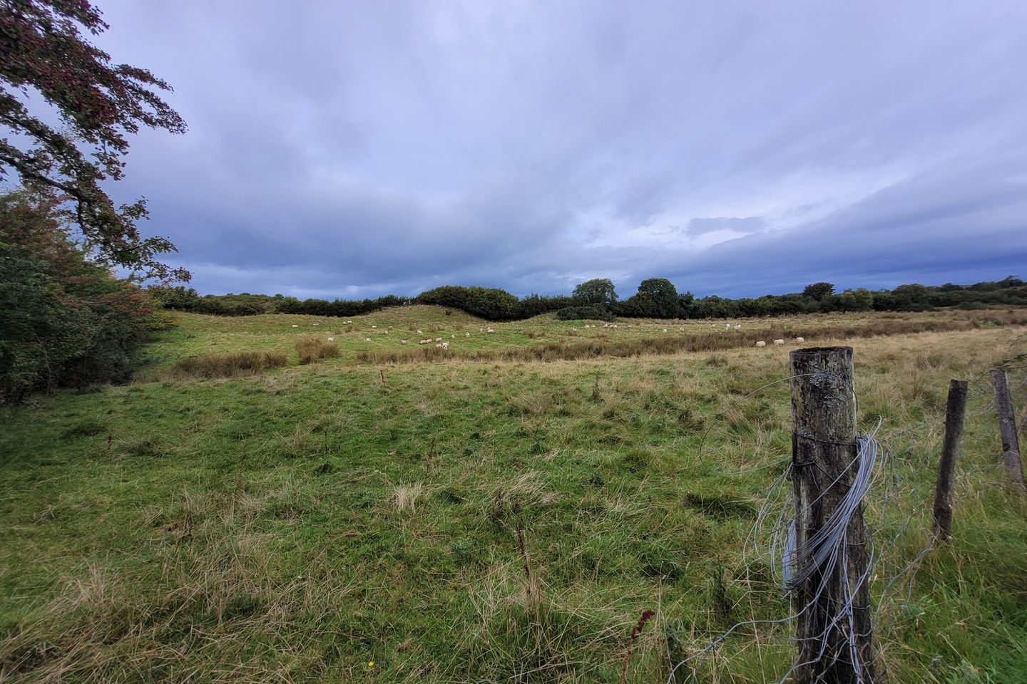 Commercial property for sale in The Triangle, Ayle, Westport, Co. Mayo