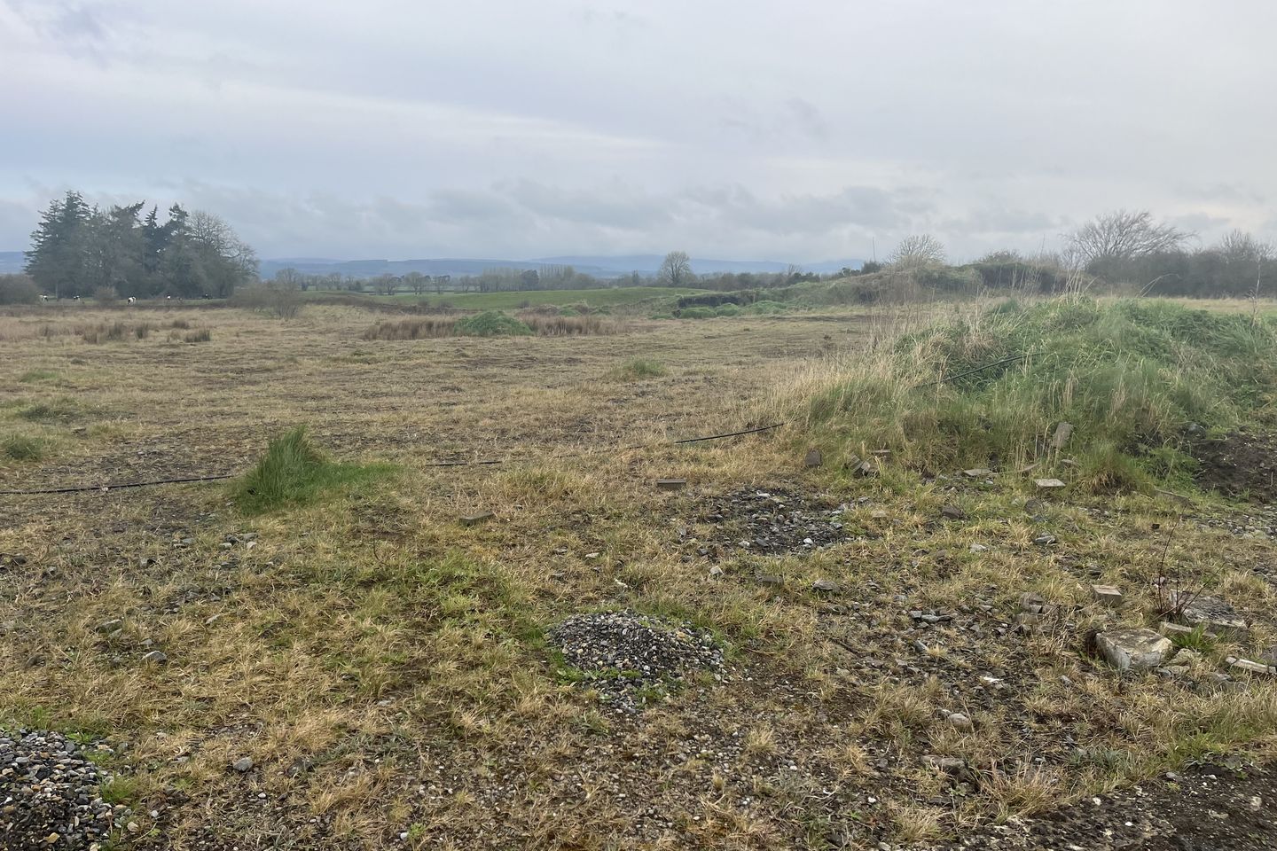 Glenall Rock Road, Borris-in-Ossory, Co. Laois