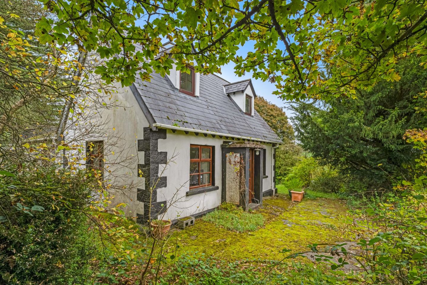 Glasleck, Shercock, Shercock, Co. Cavan, A81CV61