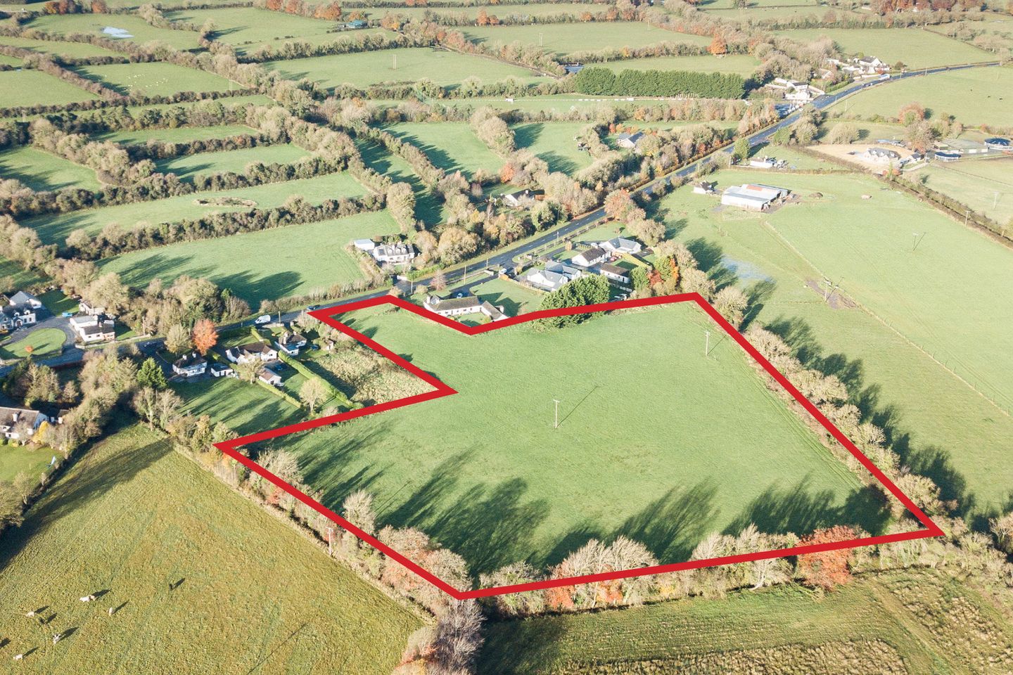 Commercial property for sale in Knightsbrook, Trim, Co. Meath