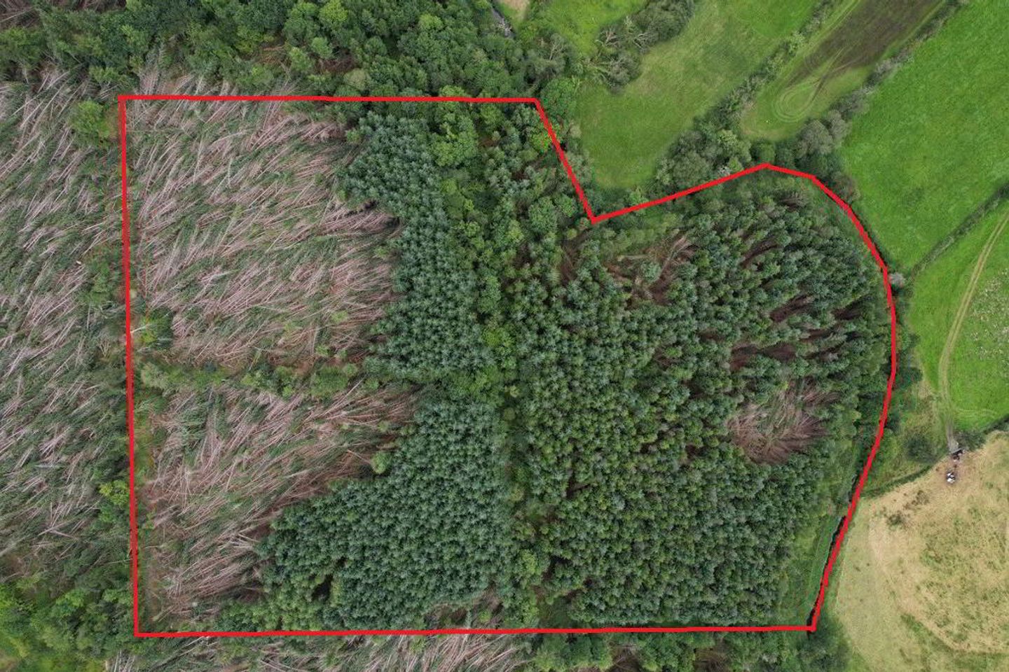 Aghavilla, Carrigallen, Co. Leitrim