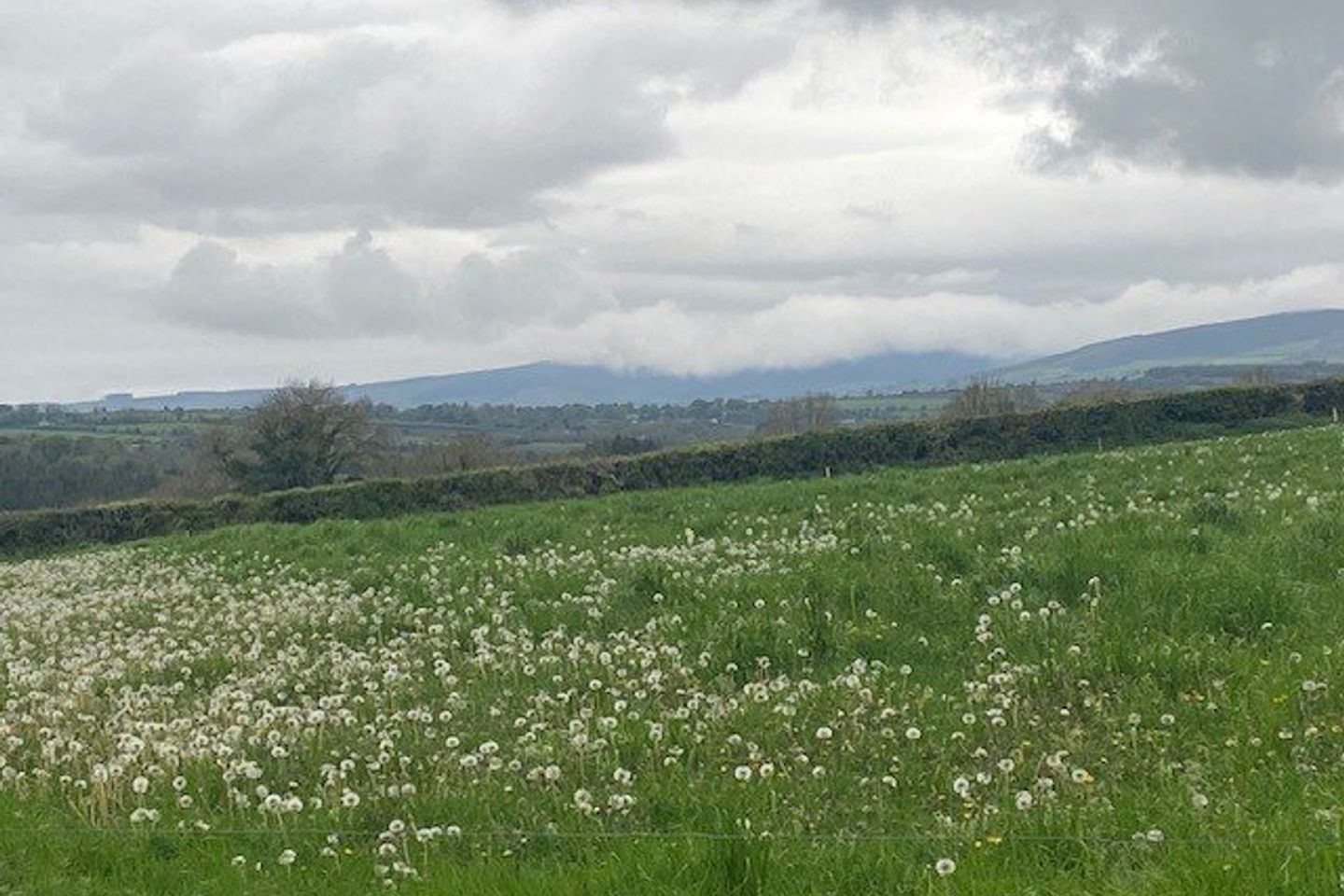 Site B At Ballyminane Mills, Enniscorthy, Co. Wexford