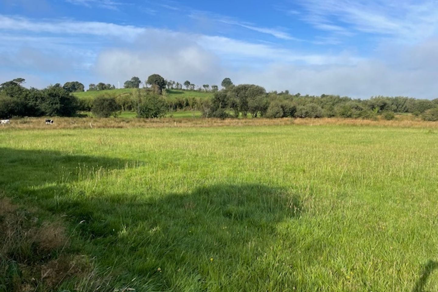 Lissarourke, Enniskeane, Co. Cork