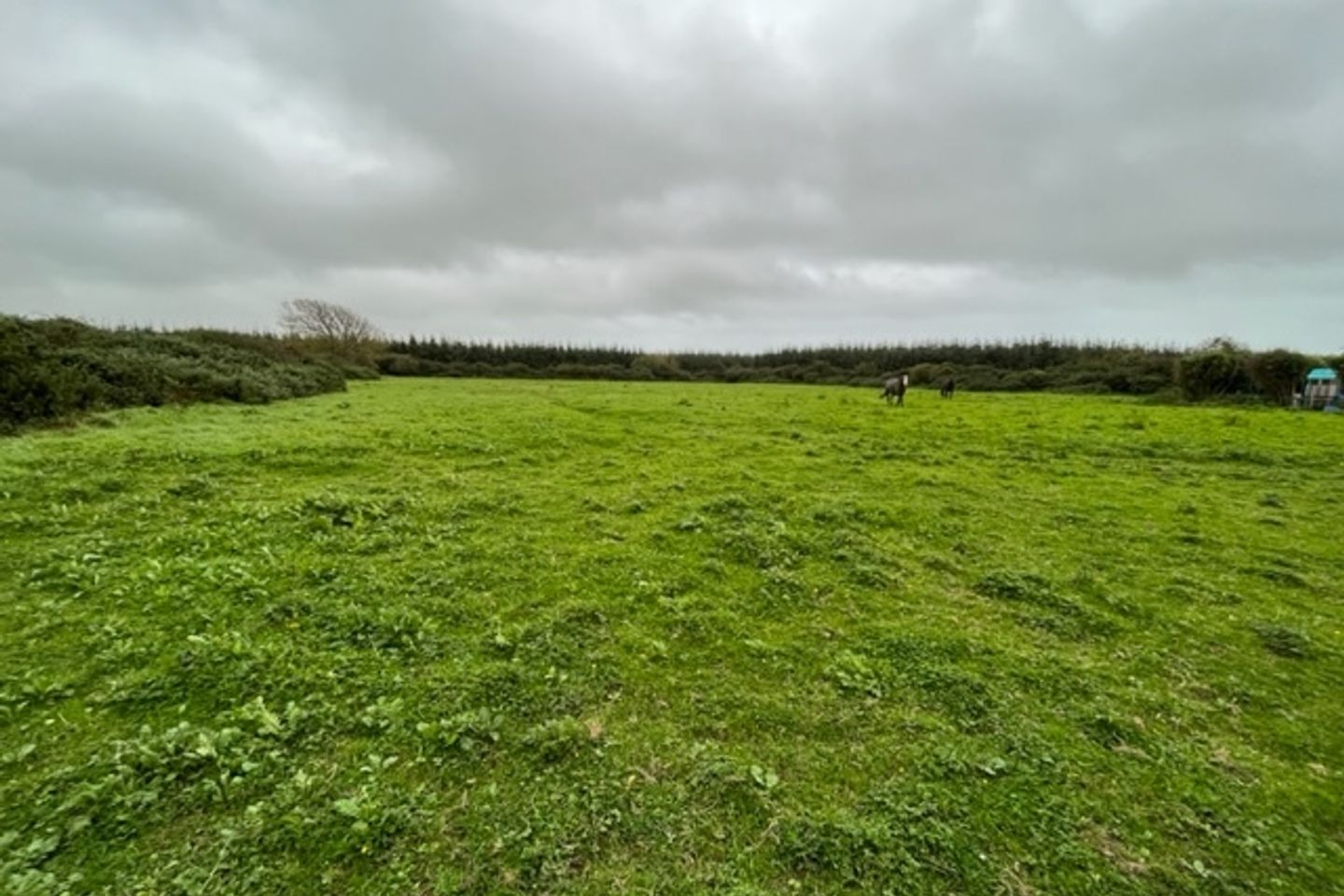 Commercial property for sale in Moortown Tomhaggard kilmore, Tomhaggard