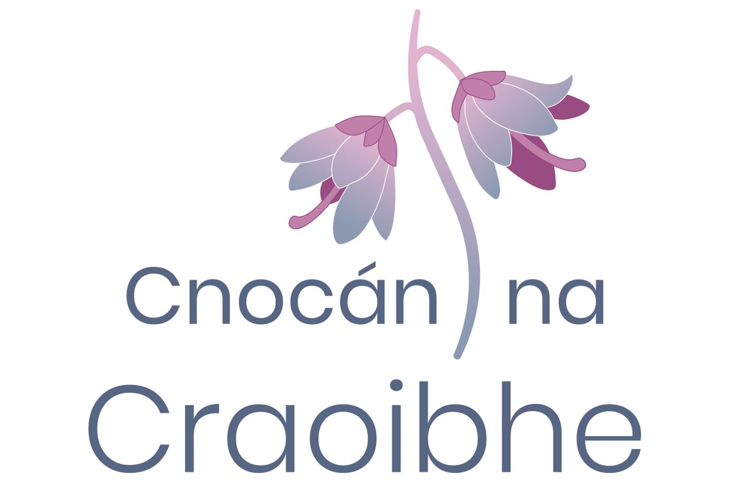 1 Bed Apartment - Ground Floor, Cnocan na Craoibhe, Clybaun Road, Galway, Knocknacarra, Co. Galway