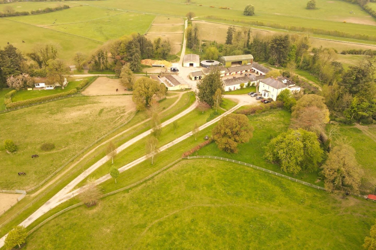 South Lodge, Carrick-on-Suir, Co. Tipperary, E32FP83