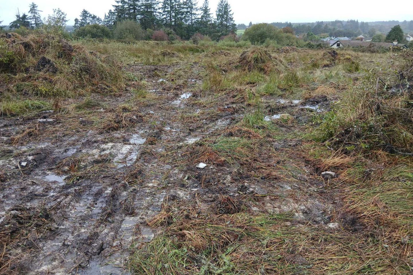 Glencollins, Ballydesmond, Co. Cork