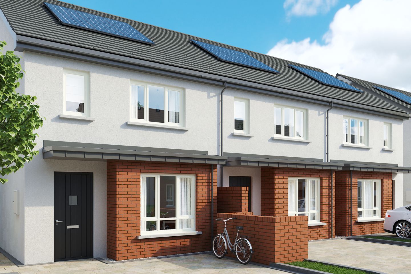 The Alder, Semple Woods, The Alder, Semple Woods, Semple Woods, Hearse