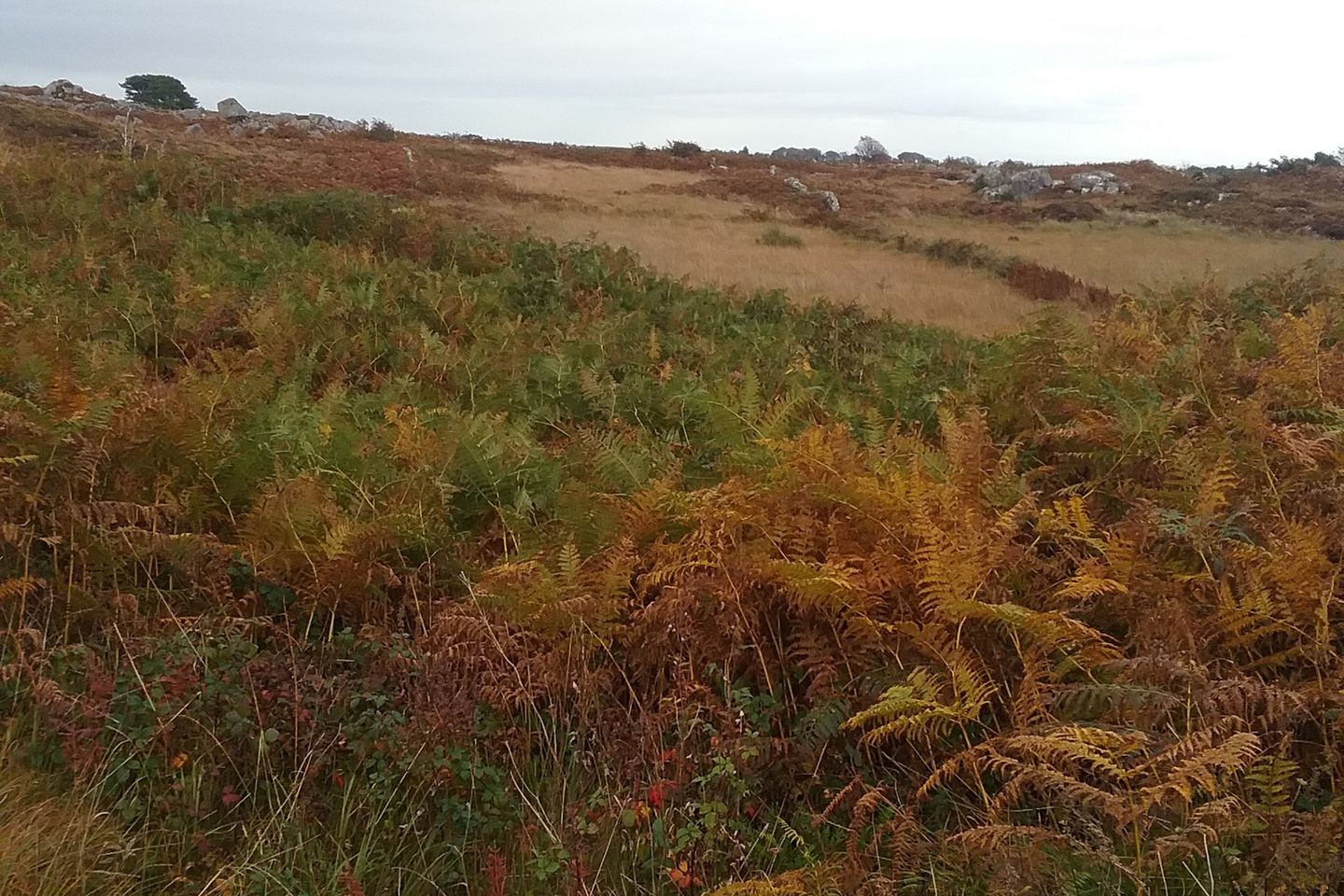 Ballywilliam, Spiddal, Co. Galway