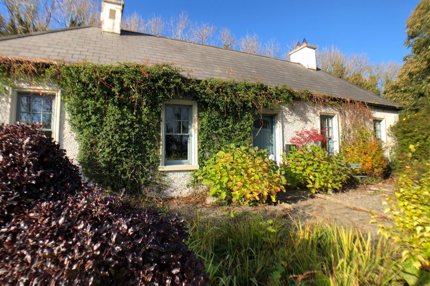 Monksland, Carlingford, Co. Louth is for sale on Daft.ie