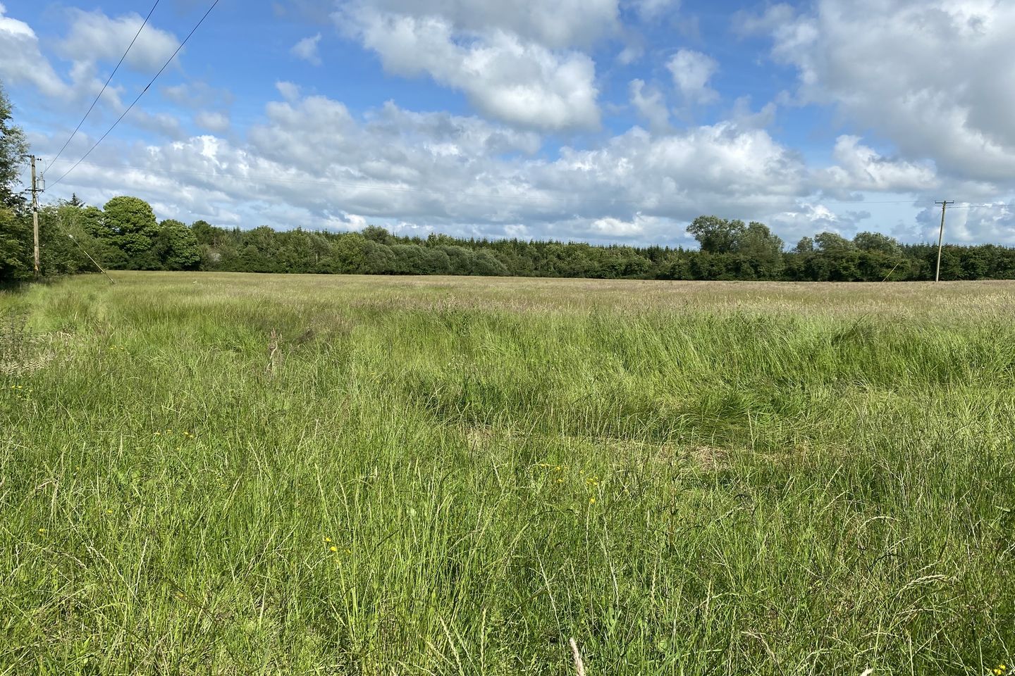 Ballygraigue, Nenagh, Co. Tipperary