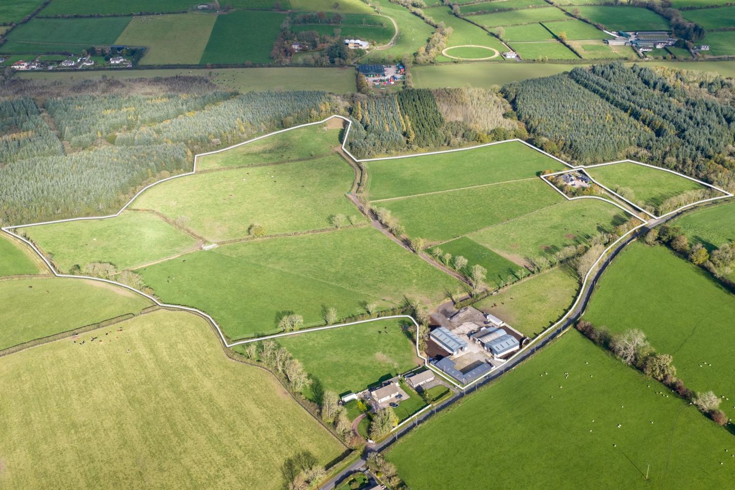 Spurree, Castlelyons, Co. Cork, P61F386