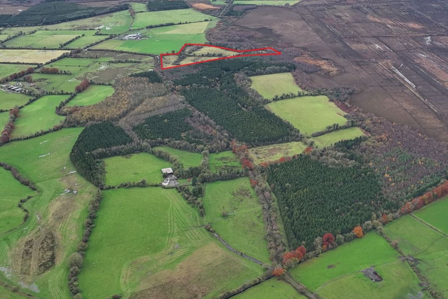 Clondalee More, Hill Of Down, Ballivor, Co. Meath, A83VW65