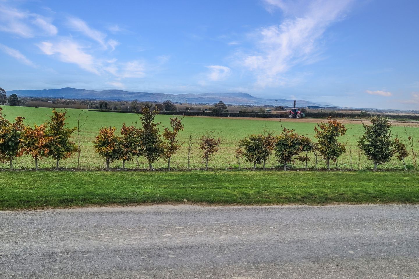 Drumcashel, Stabannon, A91X295