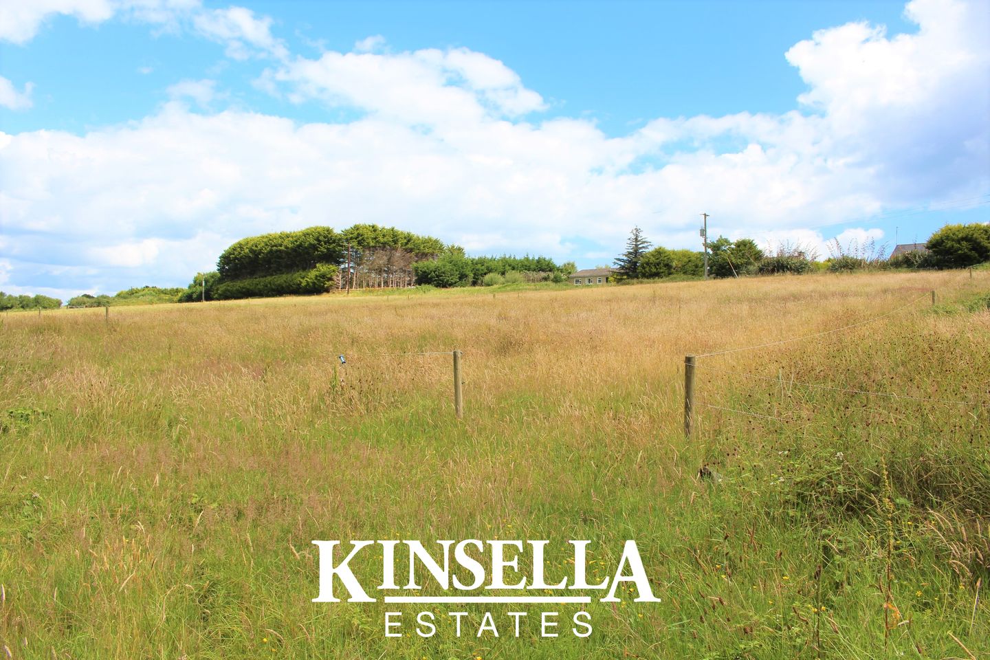 Commercial property for sale in Donaghmore, Ballygarrett, Gorey, Co