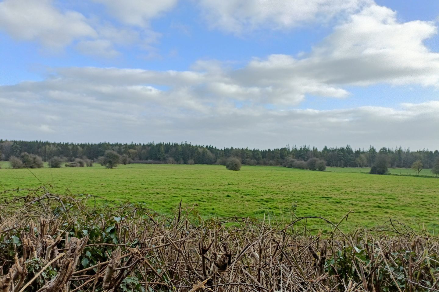 Carrick, Carbury, Co. Kildare