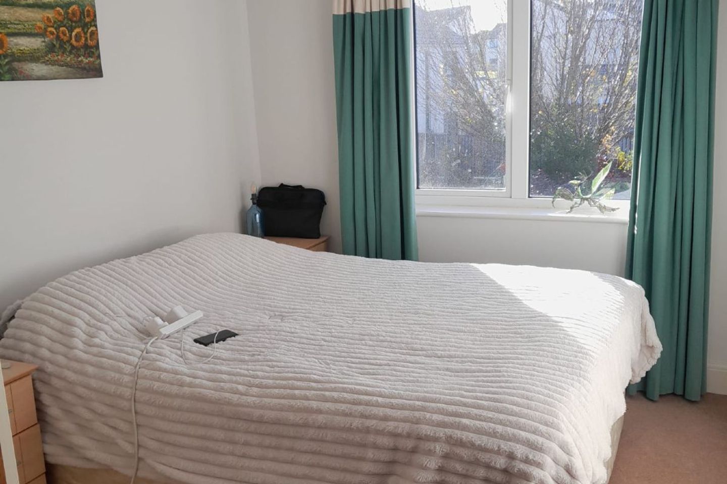 Eden Wood, Delgany, Greystones, Co. Wicklow, Delgany, Co. Wicklow